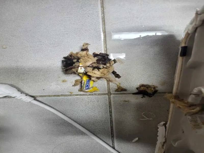 포천 배관 이물질 제거 사례 3